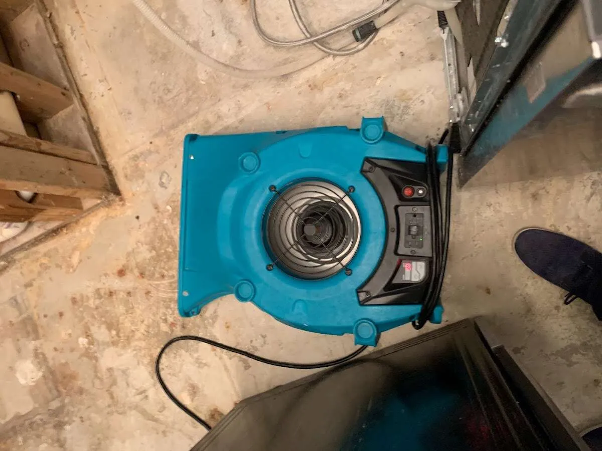 Air mover drying equipment for Mold Remediation & Removal in Branchburg